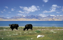 Zentralasien, Tadschikistan: Karakul Lake